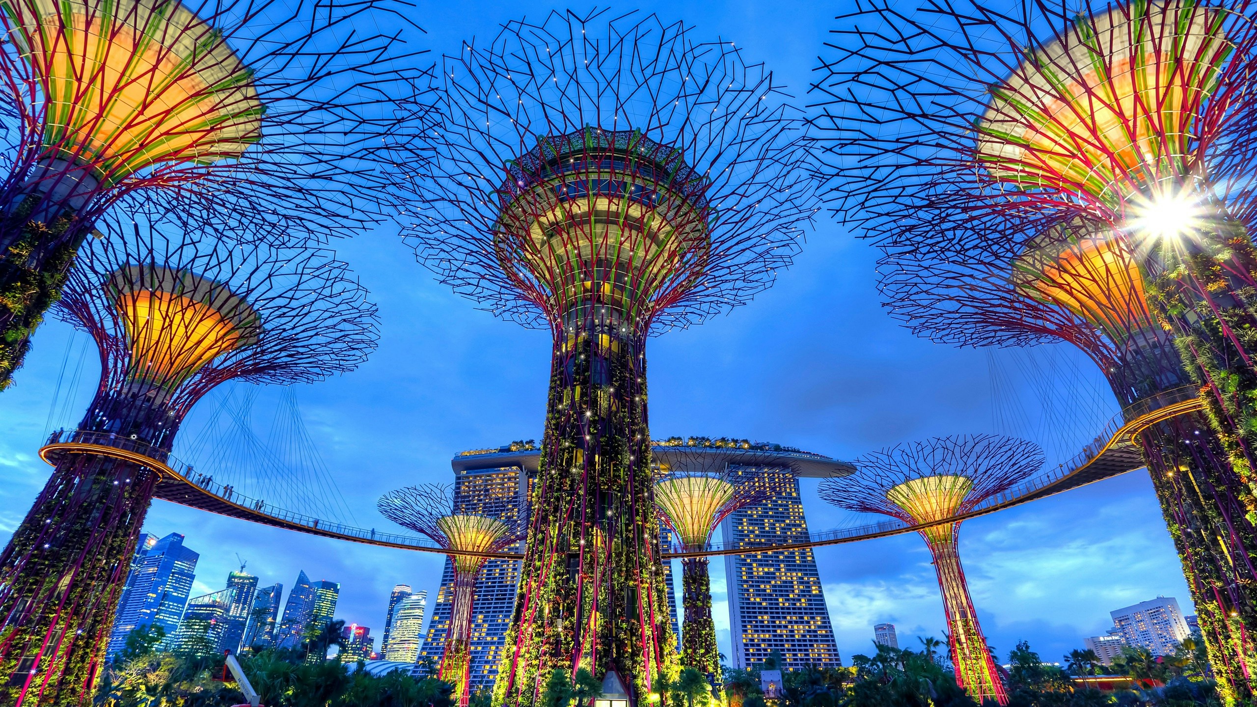 Singapore Gardens by the Bay Supertrees with Marina Bay Sands - representing innovation and sustainability